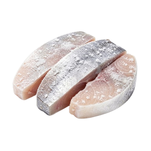 Frozen Fish